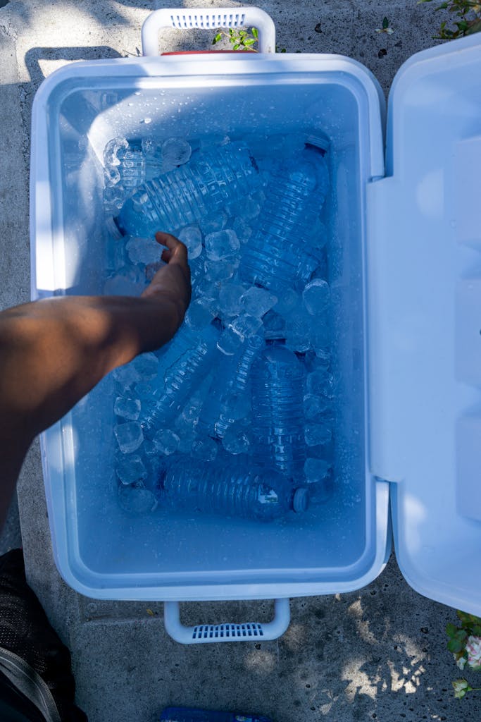 Cooler Camping: Keep Your Food Fresh in the Great Outdoors